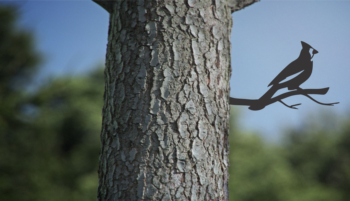 Cardinal Bird On a Branch Tree Art Garden Yard Decoration Steel Animals Silhouettes
