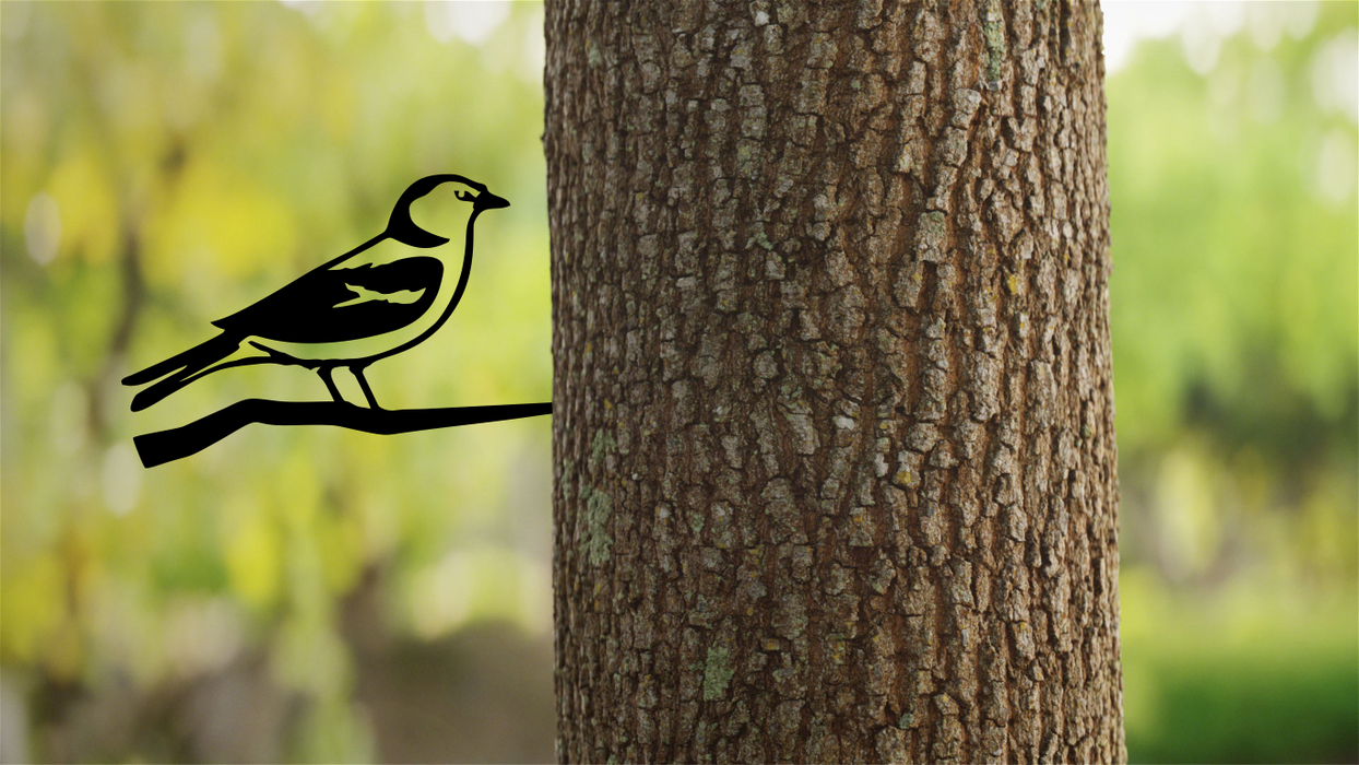 Finch Bird On a Branch Tree Art Garden Yard Decoration Steel Animals Silhouettes