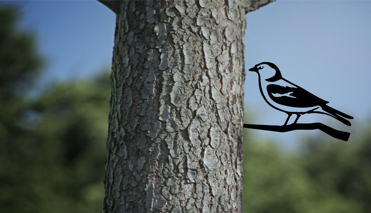 Finch Bird On a Branch Tree Art Garden Yard Decoration Steel Animals Silhouettes