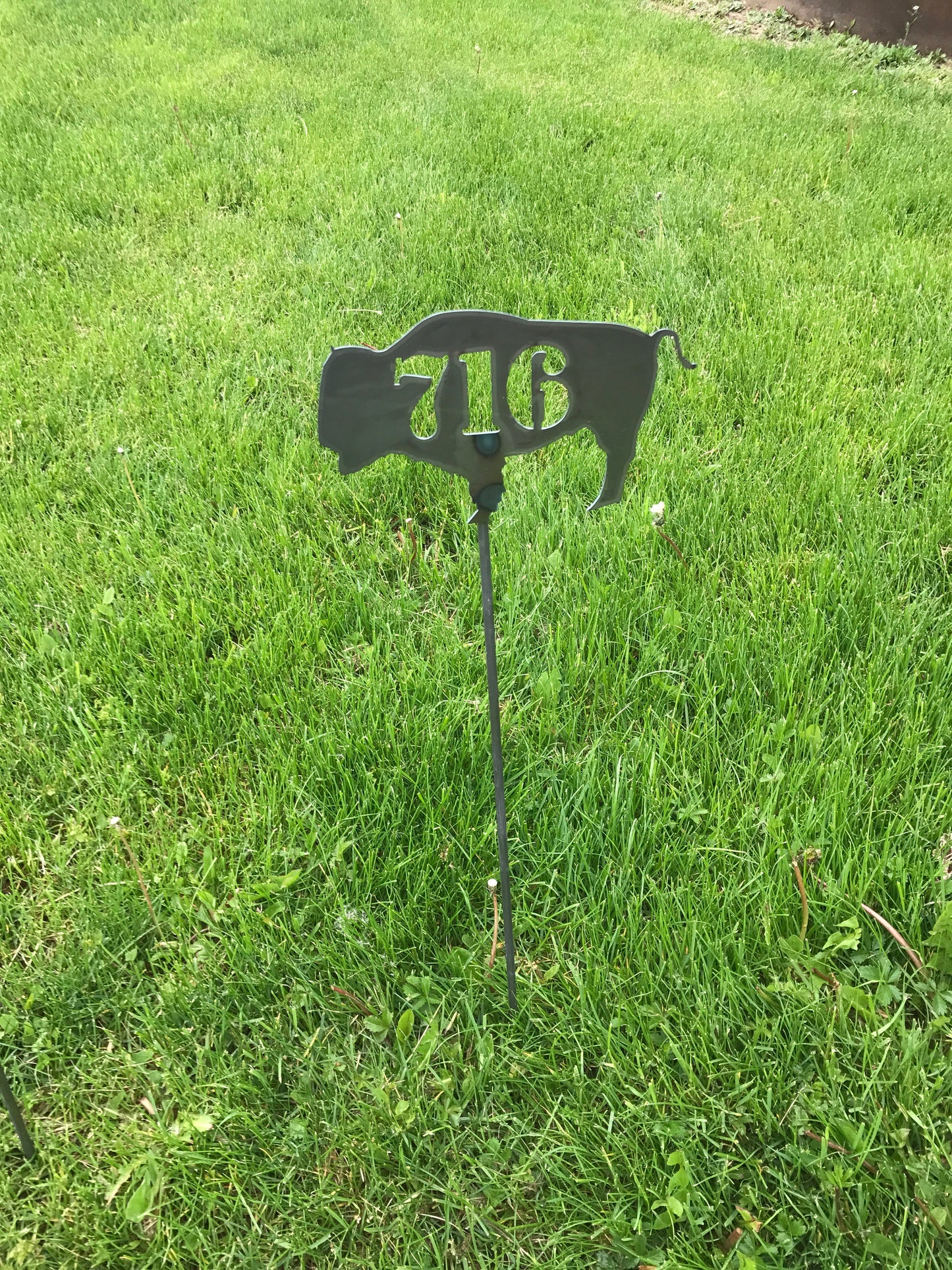 Buffalo Metal  yard stakes raw steel BFLO Heart 716