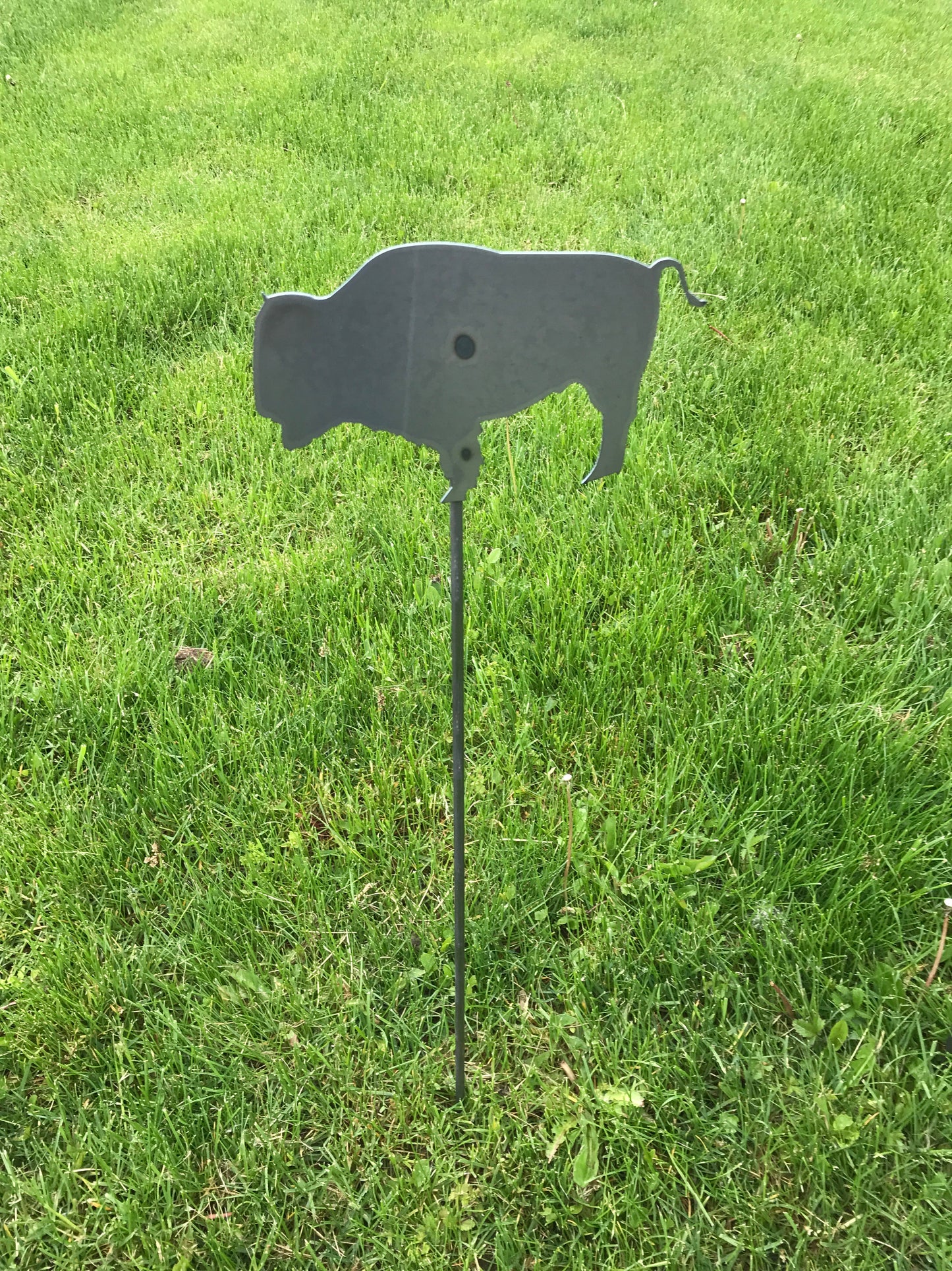 Buffalo Metal  yard stakes raw steel BFLO Heart 716