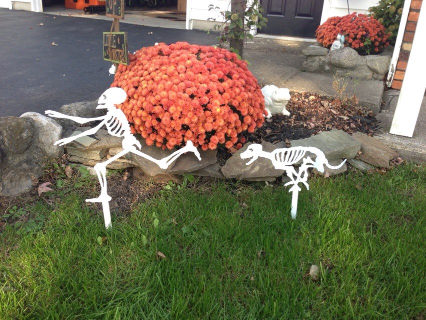 Running Skeleton and dog chasing Garden Yard Stake Halloween