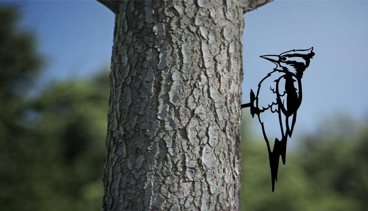 Woodpecker On a Branch Tree Art Garden Yard Decoration Steel Animals Silhouettes